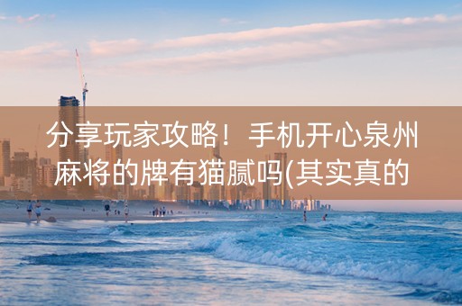分享玩家攻略！手机开心泉州麻将的牌有猫腻吗(其实真的有挂)