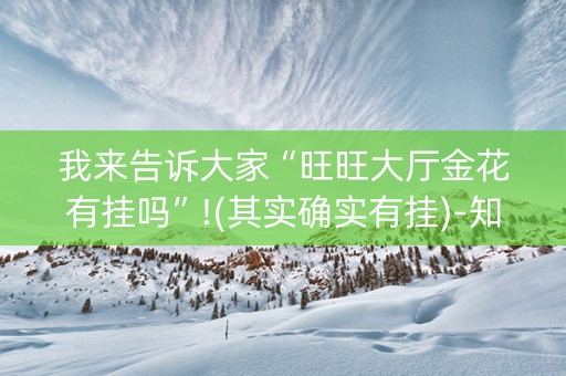 我来告诉大家“旺旺大厅金花有挂吗”!(其实确实有挂)-知乎