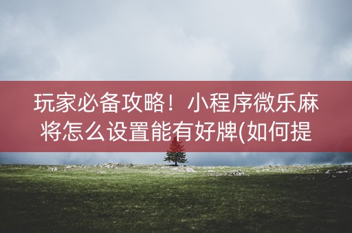 玩家必备攻略！小程序微乐麻将怎么设置能有好牌(如何提高胡牌率)