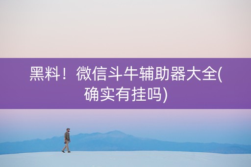 黑料！微信斗牛辅助器大全(确实有挂吗)