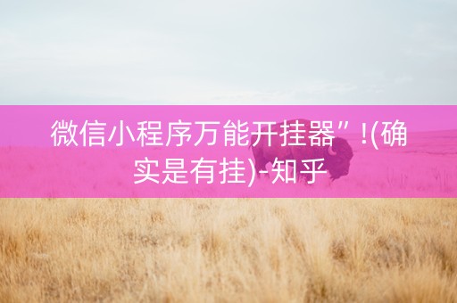 微信小程序万能开挂器”!(确实是有挂)-知乎