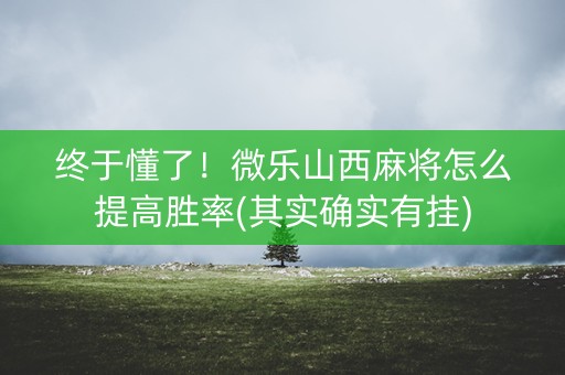 终于懂了！微乐山西麻将怎么提高胜率(其实确实有挂)