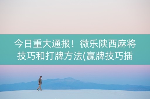今日重大通报！微乐陕西麻将技巧和打牌方法(赢牌技巧插件安装)
