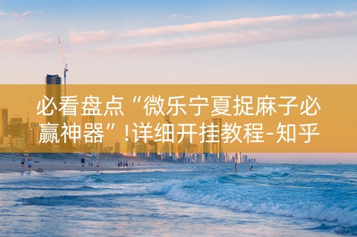 必看盘点“微乐宁夏捉麻子必赢神器”!详细开挂教程-知乎
