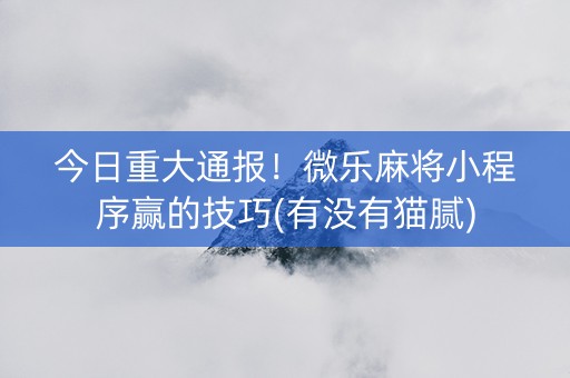 今日重大通报！微乐麻将小程序赢的技巧(有没有猫腻)