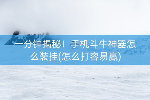 一分钟揭秘！手机斗牛神器怎么装挂(怎么打容易赢)