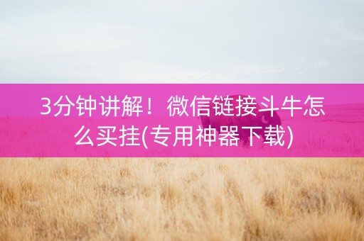 3分钟讲解！微信链接斗牛怎么买挂(专用神器下载)