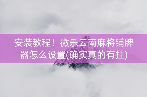 安装教程！微乐云南麻将铺牌器怎么设置(确实真的有挂)