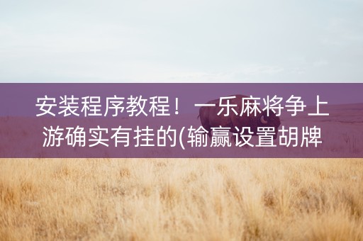 安装程序教程！一乐麻将争上游确实有挂的(输赢设置胡牌规律)
