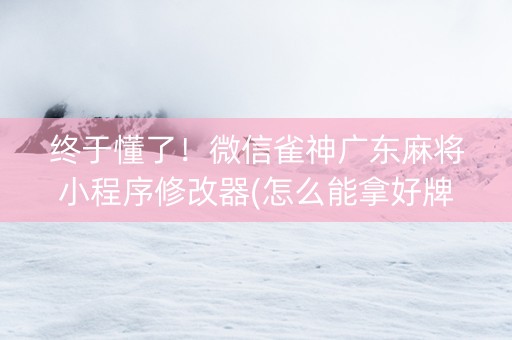 终于懂了！微信雀神广东麻将小程序修改器(怎么能拿好牌)