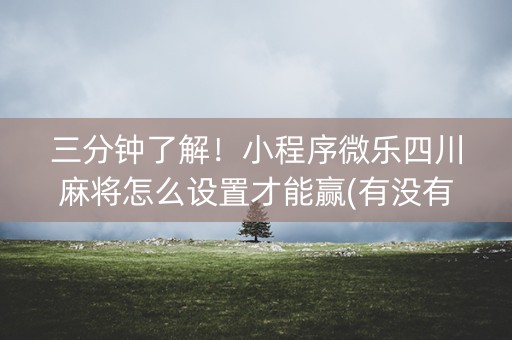 三分钟了解！小程序微乐四川麻将怎么设置才能赢(有没有技巧)