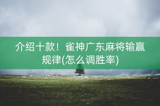 介绍十款！雀神广东麻将输赢规律(怎么调胜率)
