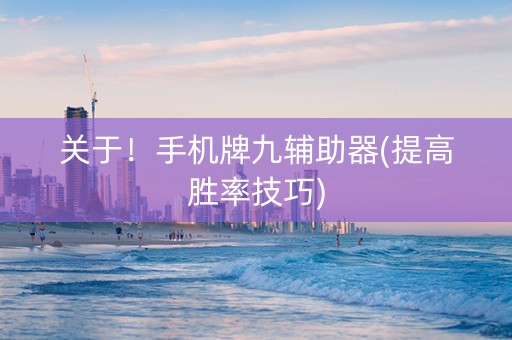 关于！手机牌九辅助器(提高胜率技巧)
