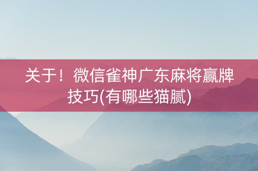 关于！微信雀神广东麻将赢牌技巧(有哪些猫腻)