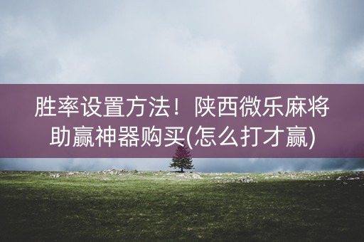胜率设置方法！陕西微乐麻将助赢神器购买(怎么打才赢)
