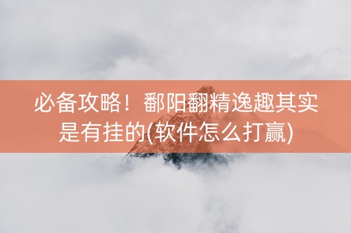必备攻略！鄱阳翻精逸趣其实是有挂的(软件怎么打赢)