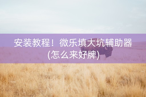 安装教程！微乐填大坑辅助器(怎么来好牌)