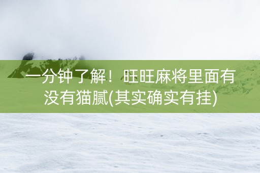 一分钟了解！旺旺麻将里面有没有猫腻(其实确实有挂)