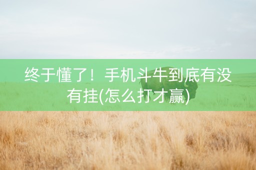 终于懂了！手机斗牛到底有没有挂(怎么打才赢)