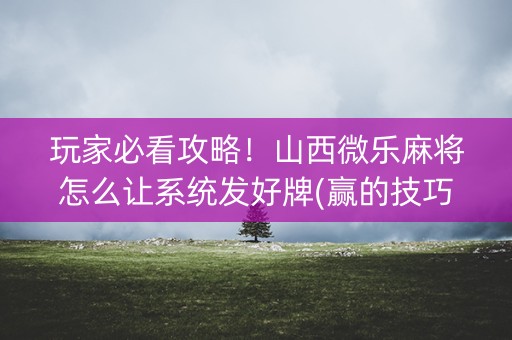 玩家必看攻略！山西微乐麻将怎么让系统发好牌(赢的技巧系统规律)