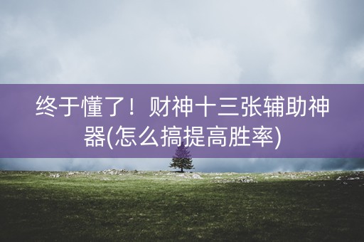 终于懂了！财神十三张辅助神器(怎么搞提高胜率)