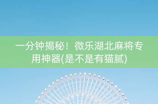 一分钟揭秘！微乐湖北麻将专用神器(是不是有猫腻)