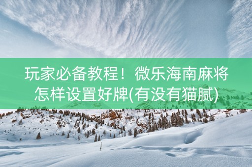 玩家必备教程！微乐海南麻将怎样设置好牌(有没有猫腻)