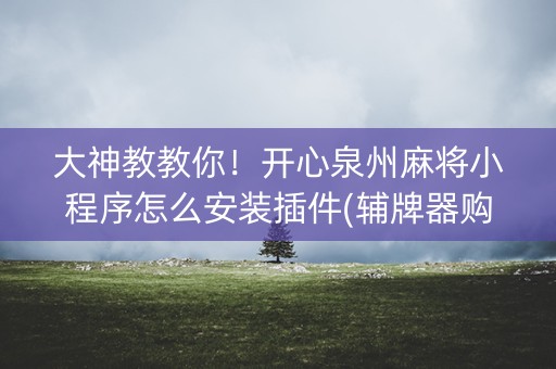 大神教教你！开心泉州麻将小程序怎么安装插件(辅牌器购买)