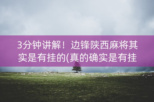 3分钟讲解！边锋陕西麻将其实是有挂的(真的确实是有挂)