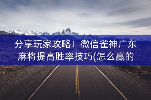 分享玩家攻略！微信雀神广东麻将提高胜率技巧(怎么赢的几率大)