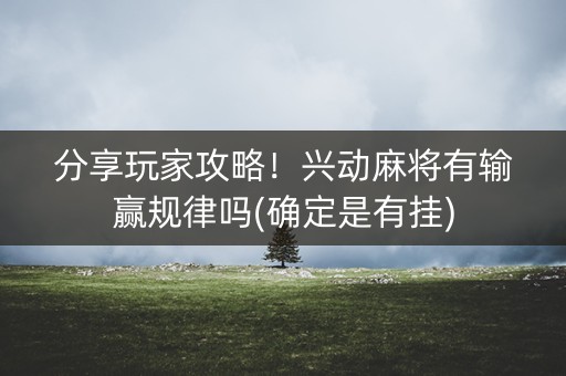 分享玩家攻略！兴动麻将有输赢规律吗(确定是有挂)