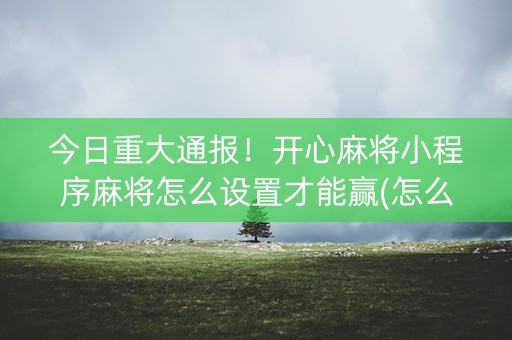 今日重大通报！开心麻将小程序麻将怎么设置才能赢(怎么让牌更好)