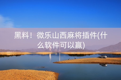 黑料！微乐山西麻将插件(什么软件可以赢)
