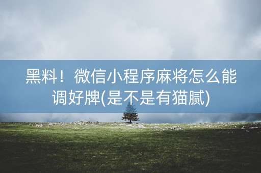 黑料！微信小程序麻将怎么能调好牌(是不是有猫腻)