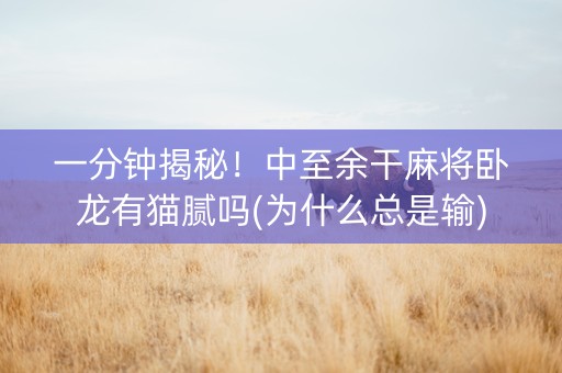 一分钟揭秘！中至余干麻将卧龙有猫腻吗(为什么总是输)