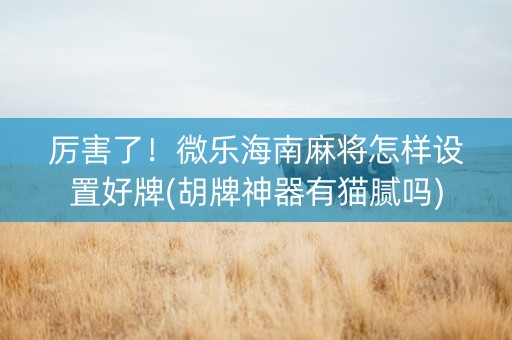 厉害了！微乐海南麻将怎样设置好牌(胡牌神器有猫腻吗)