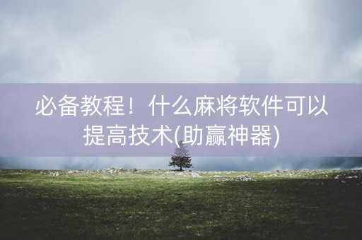 必备教程！什么麻将软件可以提高技术(助赢神器)