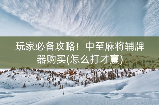 玩家必备攻略！中至麻将辅牌器购买(怎么打才赢)