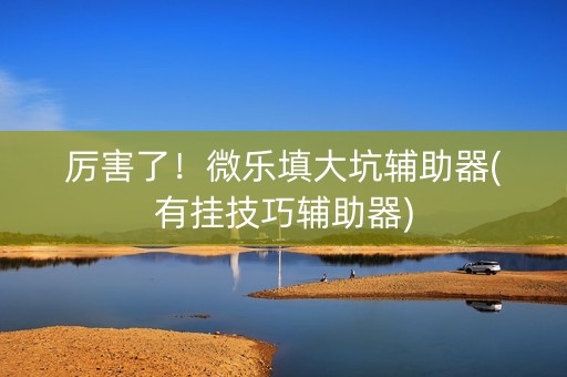 厉害了！微乐填大坑辅助器(有挂技巧辅助器)
