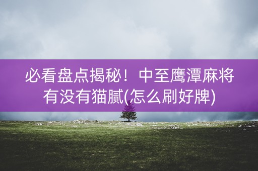 必看盘点揭秘！中至鹰潭麻将有没有猫腻(怎么刷好牌)