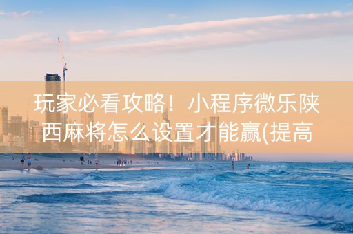 玩家必看攻略！小程序微乐陕西麻将怎么设置才能赢(提高胜率软件)