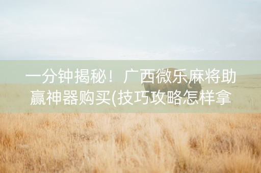 一分钟揭秘！广西微乐麻将助赢神器购买(技巧攻略怎样拿好牌)