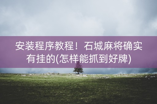 安装程序教程！石城麻将确实有挂的(怎样能抓到好牌)