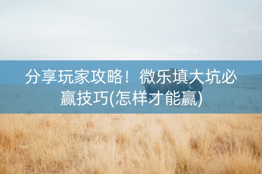 分享玩家攻略！微乐填大坑必赢技巧(怎样才能赢)