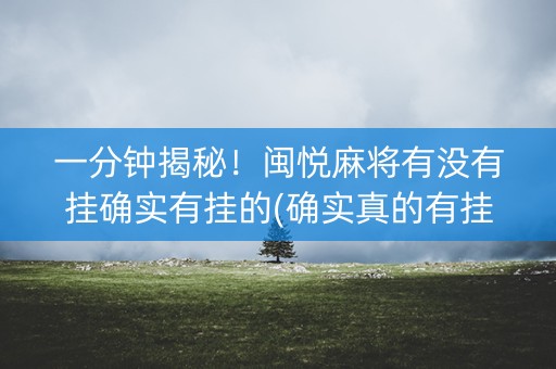 一分钟揭秘！闽悦麻将有没有挂确实有挂的(确实真的有挂)