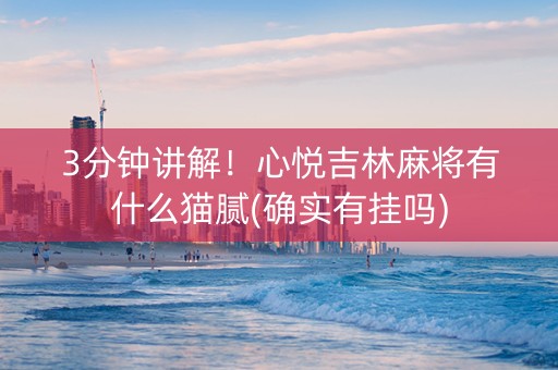 3分钟讲解！心悦吉林麻将有什么猫腻(确实有挂吗)