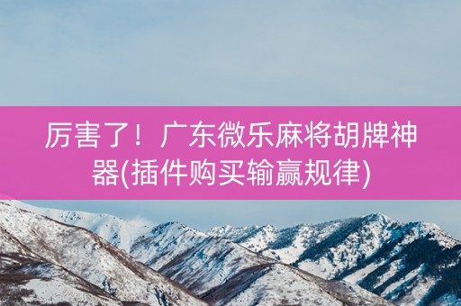 厉害了！广东微乐麻将胡牌神器(插件购买输赢规律)