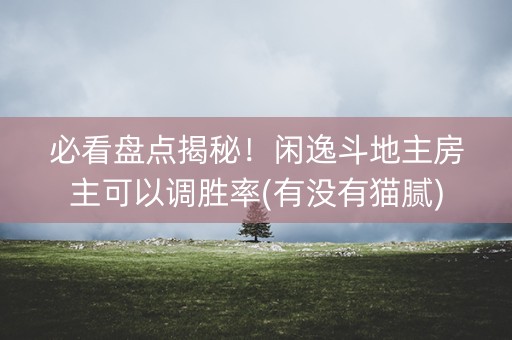 必看盘点揭秘！闲逸斗地主房主可以调胜率(有没有猫腻)