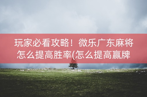 玩家必看攻略！微乐广东麻将怎么提高胜率(怎么提高赢牌率)