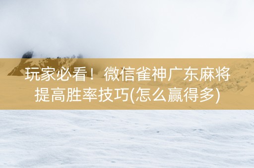 玩家必看！微信雀神广东麻将提高胜率技巧(怎么赢得多)